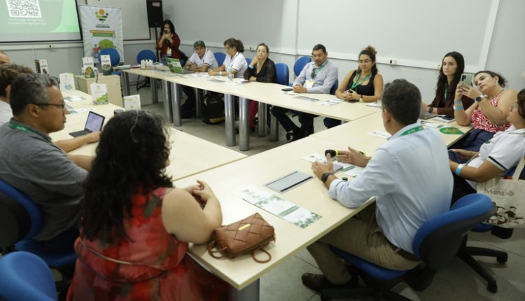 Mapa lança curso EAD sobre sustentabilidade no campo em parceria com o IABS durante a COP30