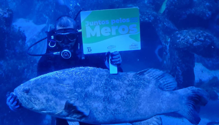 Projeto Meros e Instituto Butantan dão início a estudos inéditos no Brasil 