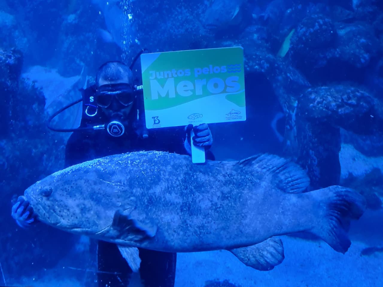 Projeto Meros e Instituto Butantan dão início a estudos inéditos no Brasil 
