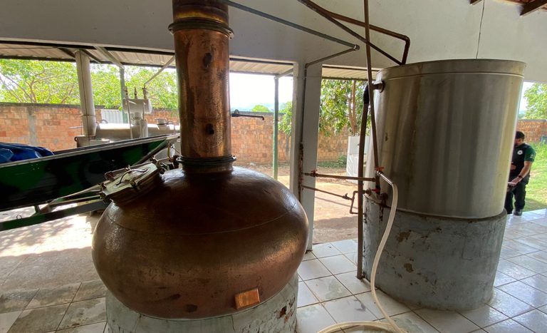 Mapa interdita duas fábricas e apreende mais de 11 mil litros de bebidas clandestinas em Tocantins