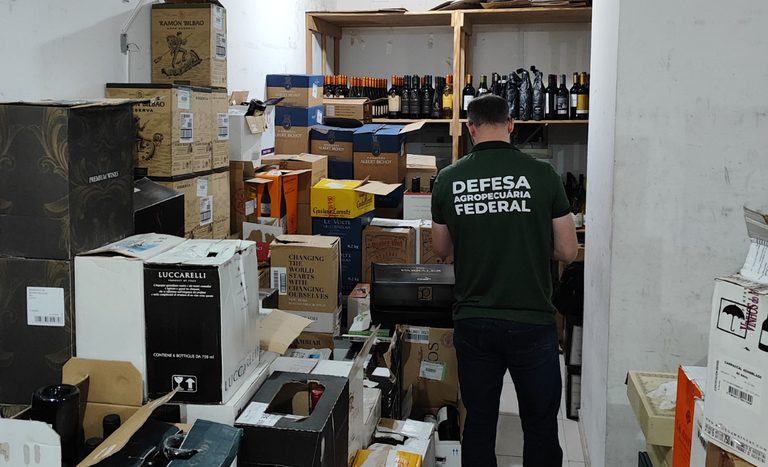 Mapa apreende mais de 300 garrafas de vinho irregulares em Balneário Camboriú