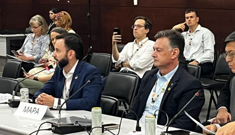 Mapa inicia participação na Blue Zone da COP30 com foco em inovação e sustentabilidade agrícola