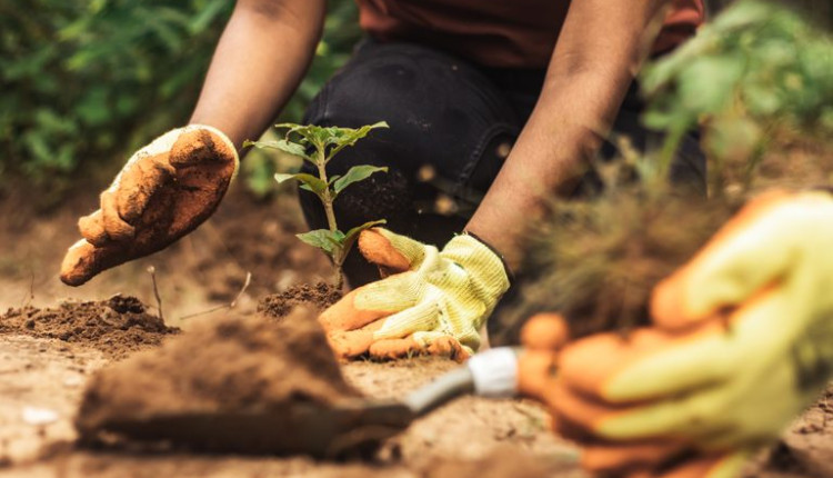 Mapa lidera ações globais contra a crise climática na COP 30