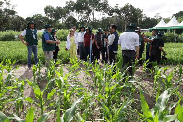 Mapa visita vitrines da Embrapa na COP30 e destaca soluções científicas para a agricultura e o clima