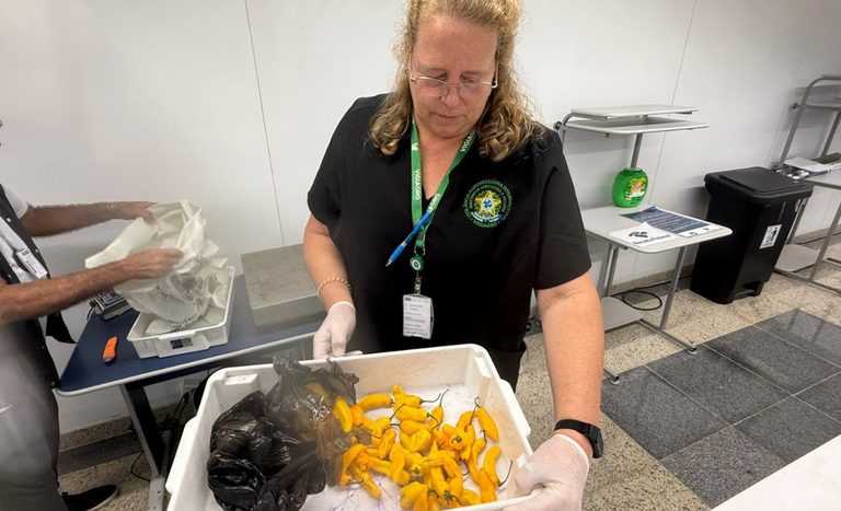 Vigiagro reforça fiscalização para a COP 30