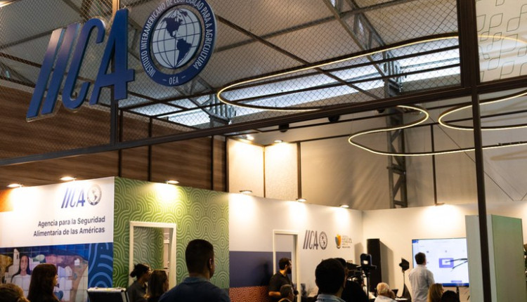 Mapa participa de evento oficial do Fundo Verde para o Clima durante a COP30