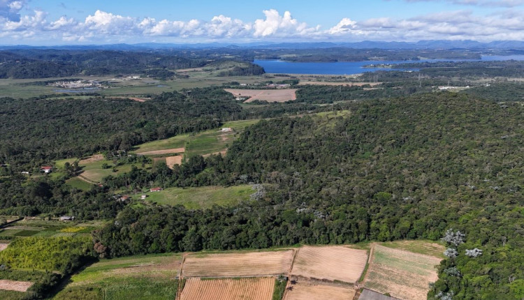 Produtores rurais preservam 29% da vegetação nativa no Brasil, aponta Embrapa