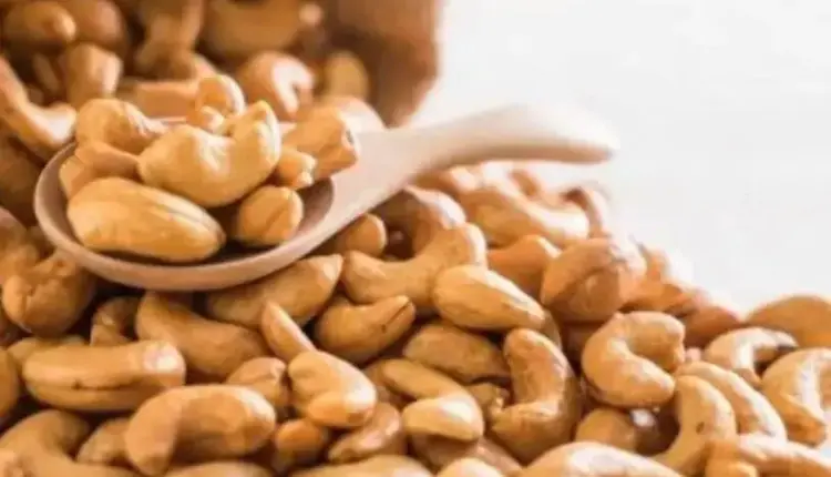 Castanha de caju de Serra do Mel recebe primeira Indicação Geográfica e reforça liderança do RN na produção