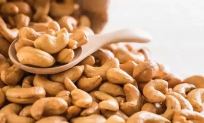 Castanha de caju de Serra do Mel recebe primeira Indicação Geográfica e reforça liderança do RN na produção