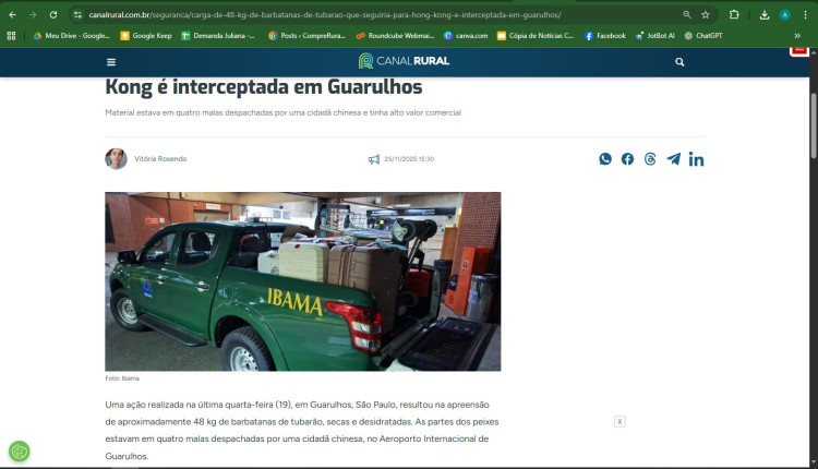 Fiscalização em Guarulhos barra envio de 48 kg de barbatanas de tubarão para Hong Kong