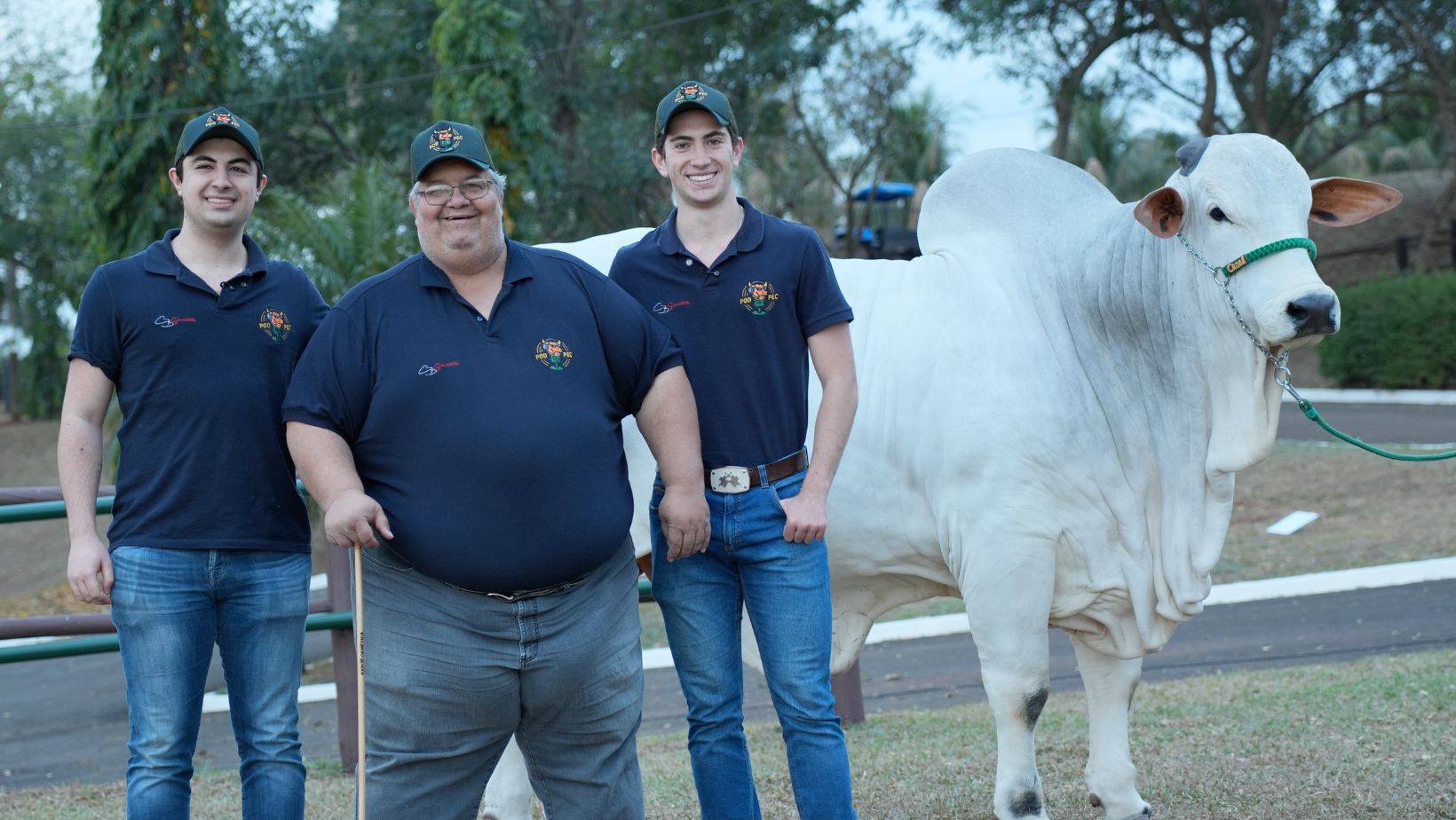 Curso de Morfologia Nelore PodPec