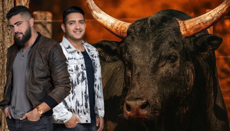 Henrique & Juliano compram Mickey Mouse - touro de rodeio mais valorizado do Brasil - Mickey Mouse