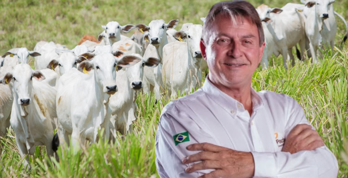 “A pecuária foi construída para dar errado”: Você é fazendeiro ou dono de fazenda?