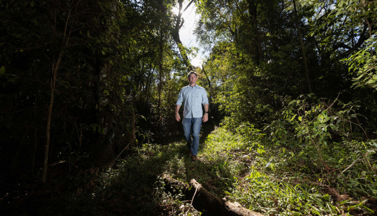 Paraná oferece programa pioneiro para validação de inventários de carbono