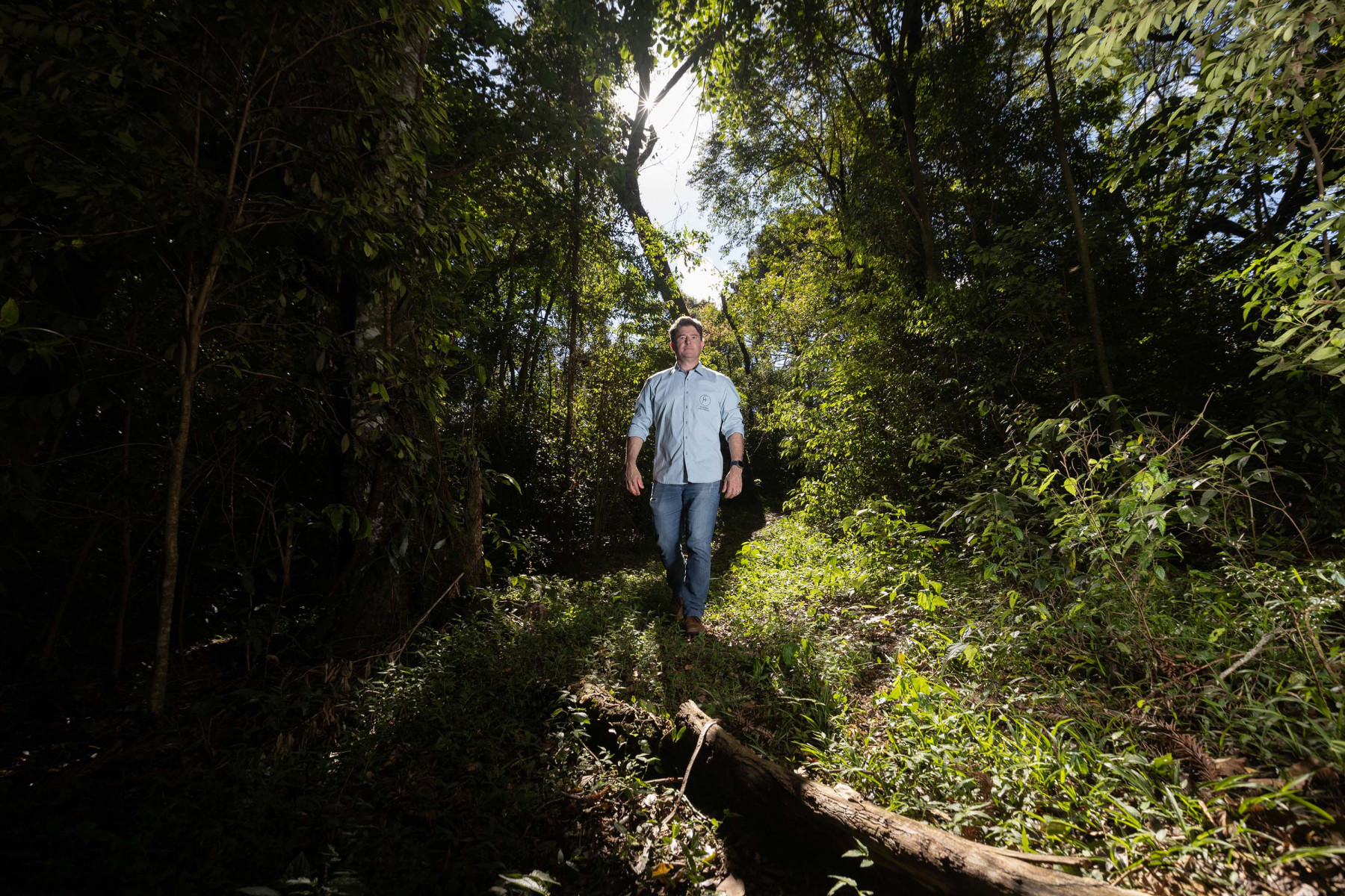 Paraná oferece programa pioneiro para validação de inventários de carbono