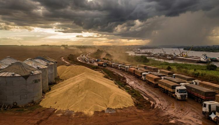 Como velhos gargalos corroem a riqueza do agro mesmo em ano de supersafra