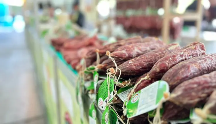 Universo Pecuária reúne expositores de diversas regiões do Estado e valoriza diversidade e cultura