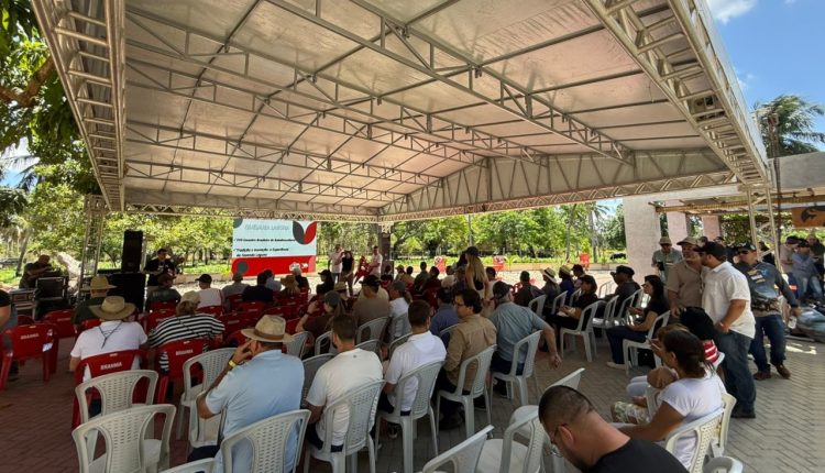 Bubalinocultores encerram evento com visita à fazenda e laticínio no Ceará