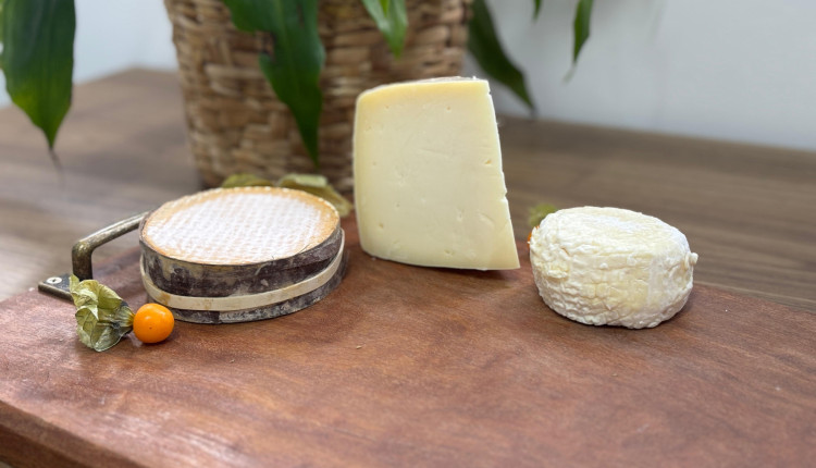 Queijos paranaenses são premiados em Mundial na Suíça