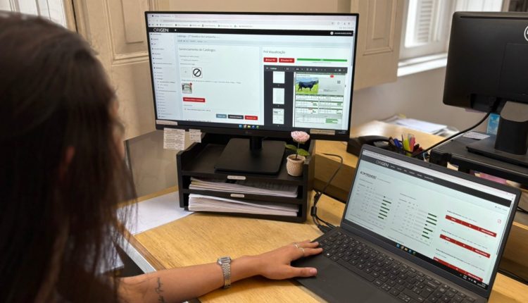 Promebo ganha nova interface para simplificar análise genética e decisões de acasalamento