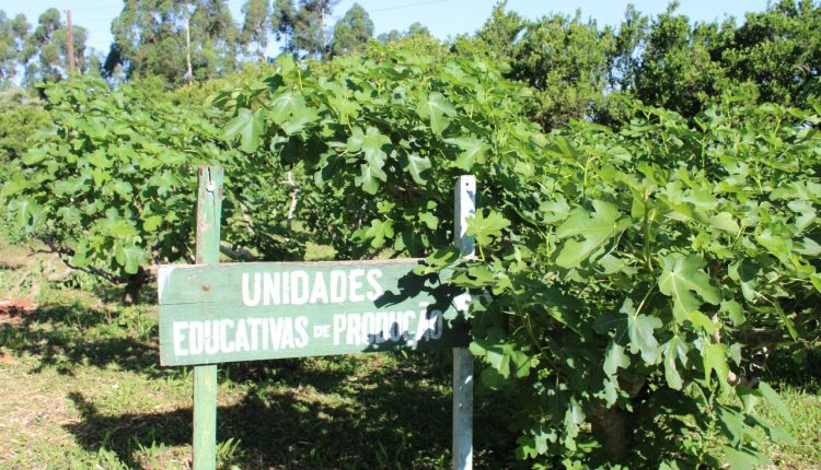 Encontro de Professores vai debater estratégias para manter jovens no ensino técnico agrícola