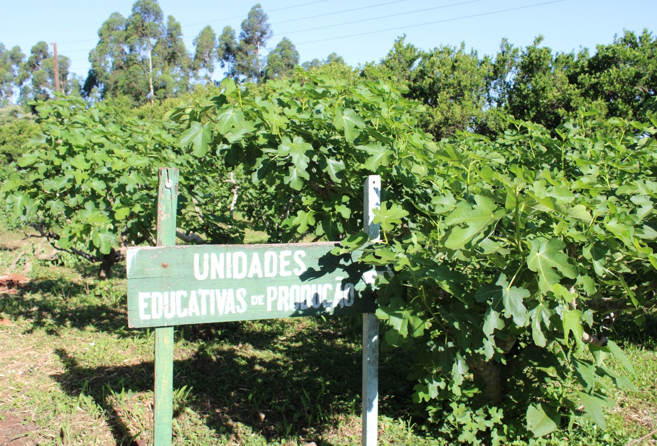Encontro de Professores vai debater estratégias para manter jovens no ensino técnico agrícola