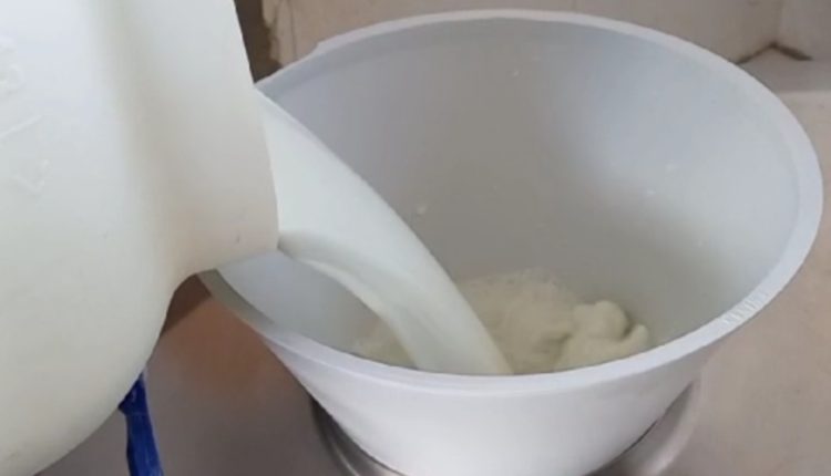 Pesquisadores desenvolvem método que identifica composição genética do búfalo