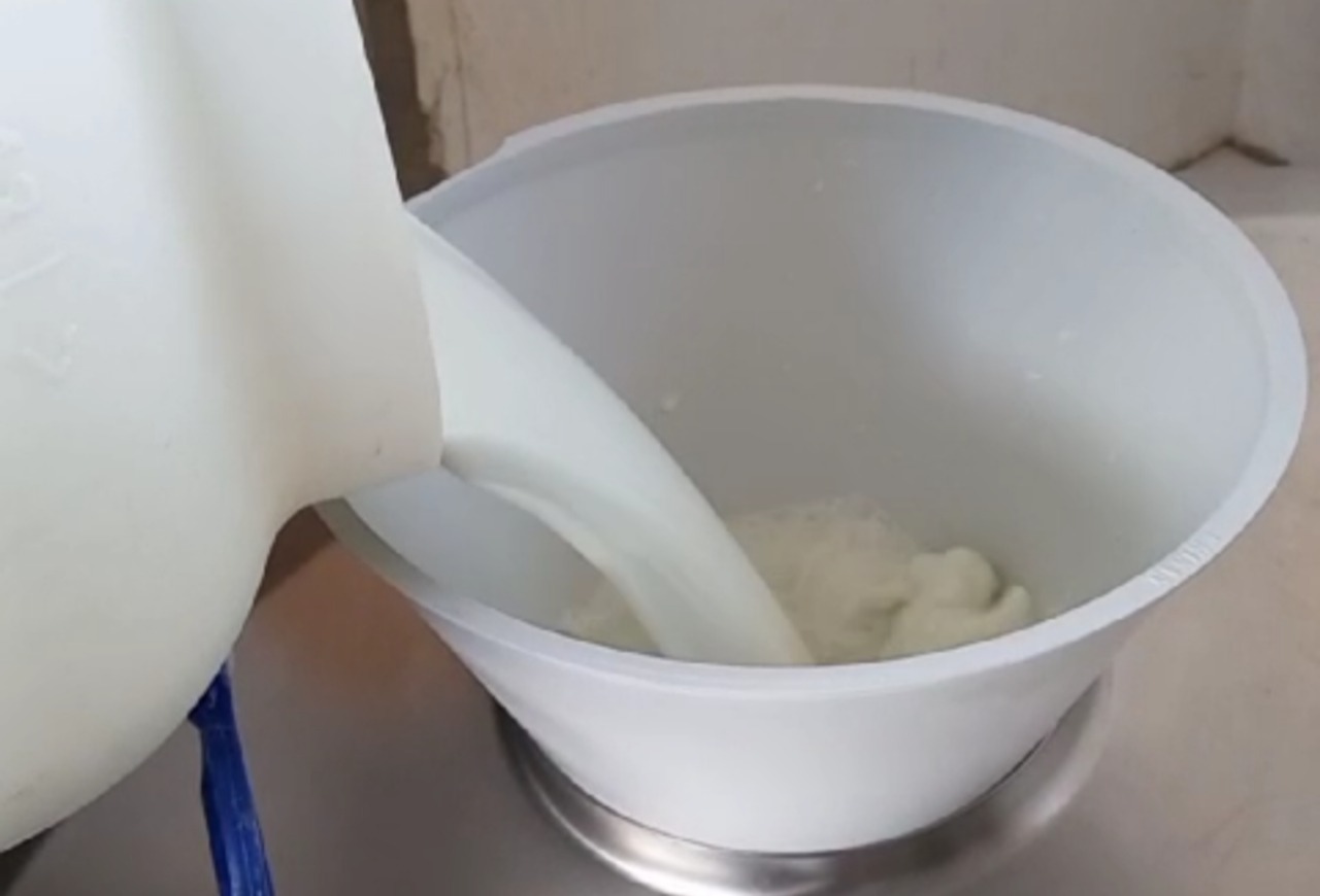 Pesquisadores desenvolvem método que identifica composição genética do búfalo