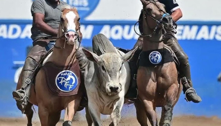 LEILAO NO CAMINHAO HARAS PFF