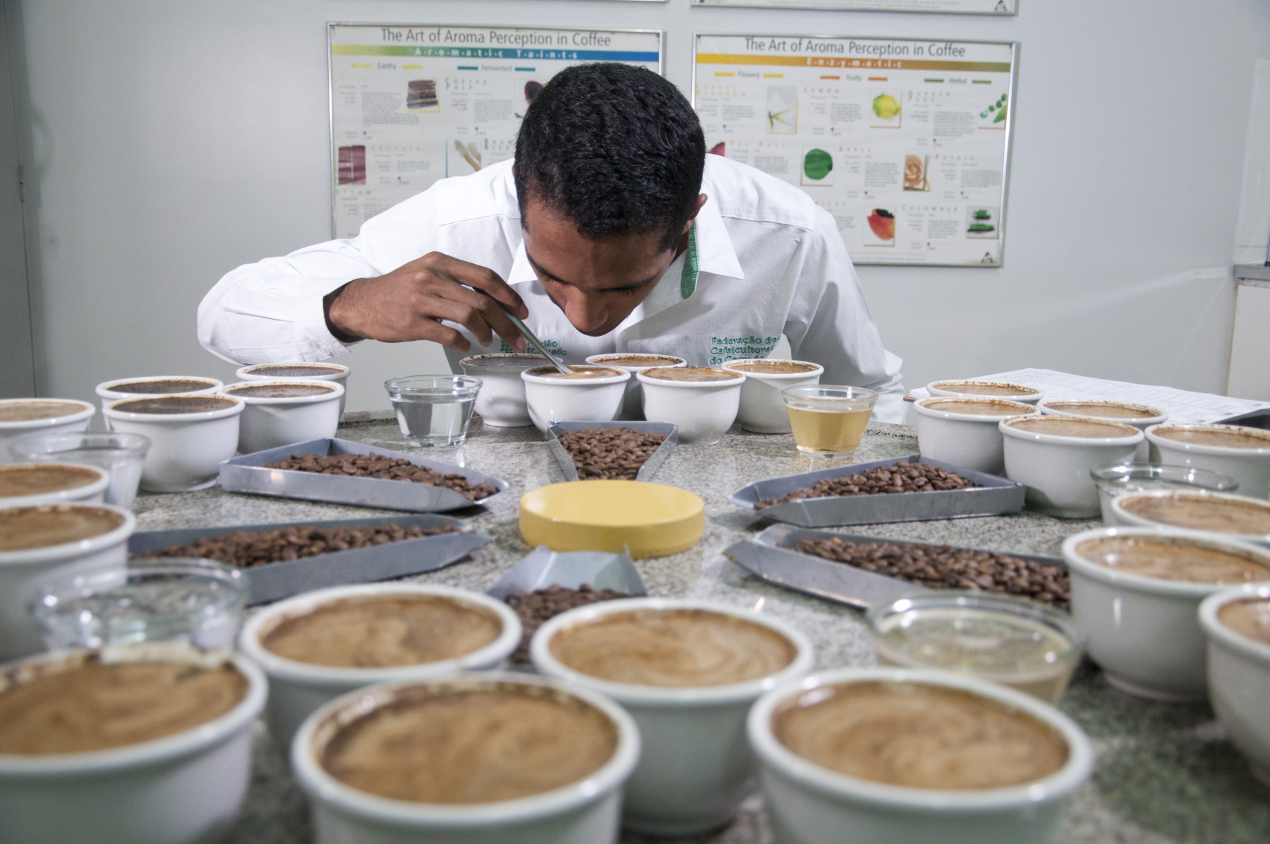 Sebrae Minas promove capacitação e negócios durante a Semana Internacional do Café