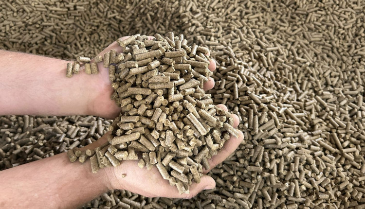 Pellets produzidos pela Bricofee a partir da borra de cafe