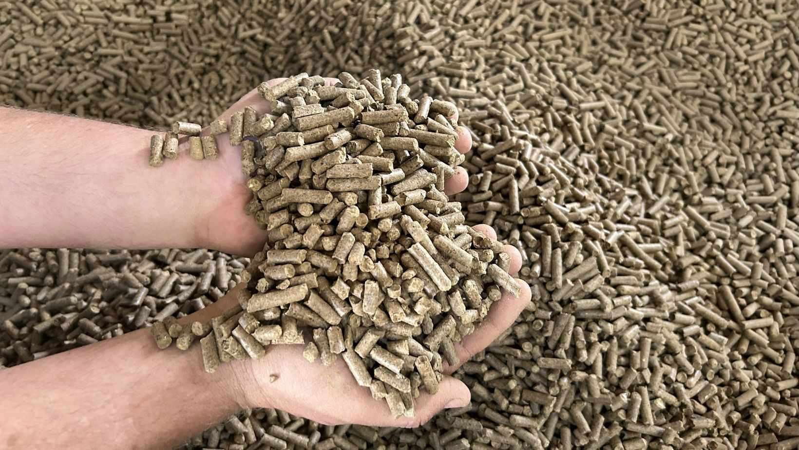Pellets produzidos pela Bricofee a partir da borra de cafe