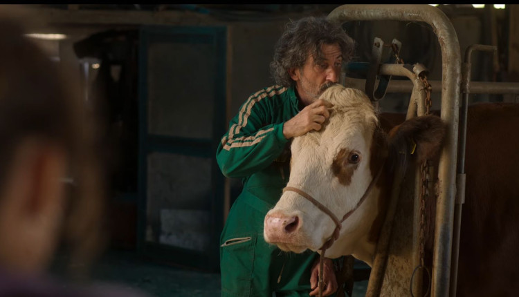 Serie da Netflix aborda veterinario quebrado tendo que lidar com pet shop