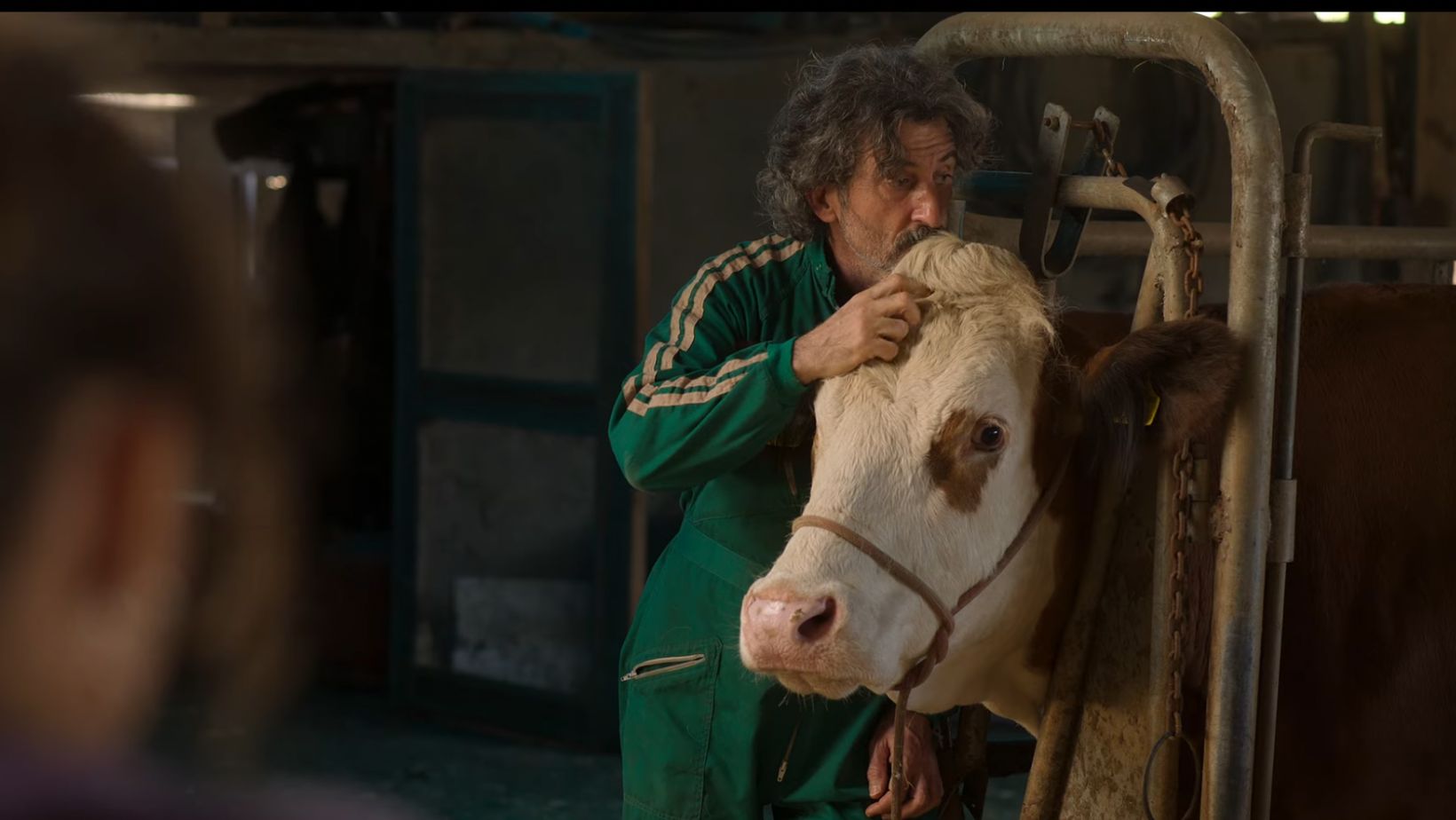 Serie da Netflix aborda veterinario quebrado tendo que lidar com pet shop