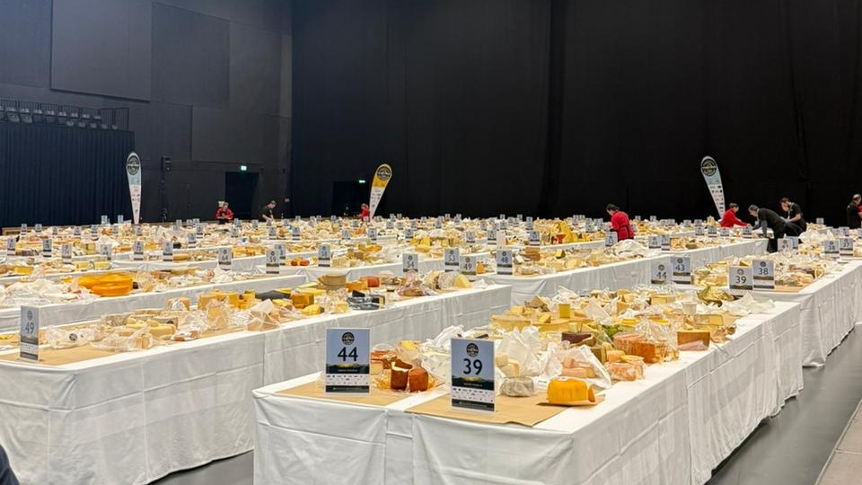 Queijos paranaenses são premiados em Mundial na Suíça
