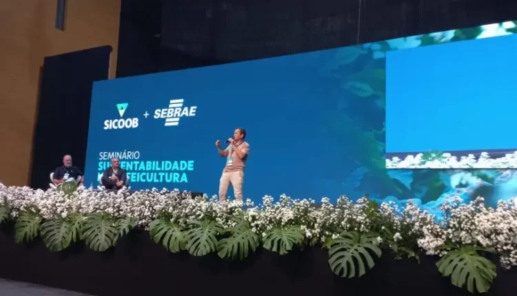 Café impulsiona desenvolvimento econômico em Minas Gerais