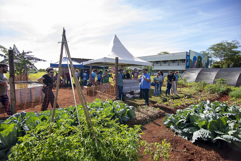 Parceria reforça agricultura de povos tradicionais