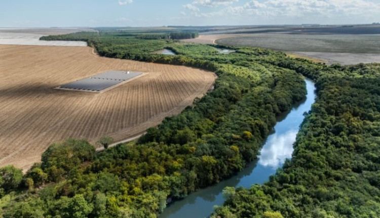 Enquanto os tecidos sintéticos alimentam crise ambiental, Abrapa leva à COP 30 a bandeira das fibras naturais