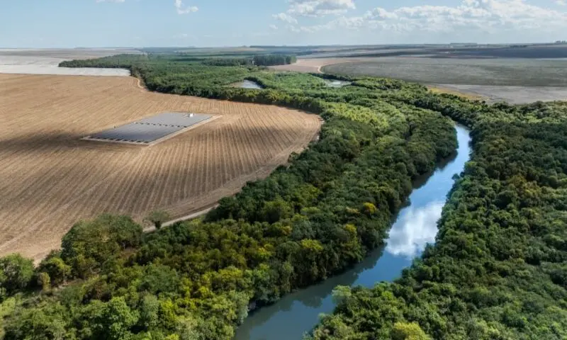 Enquanto os tecidos sintéticos alimentam crise ambiental, Abrapa leva à COP 30 a bandeira das fibras naturais