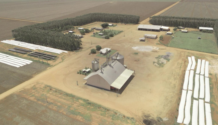 Fazenda do grande campeão nacional sequeiro - Mateus Passinatto, de Campos de Júlio (MT).