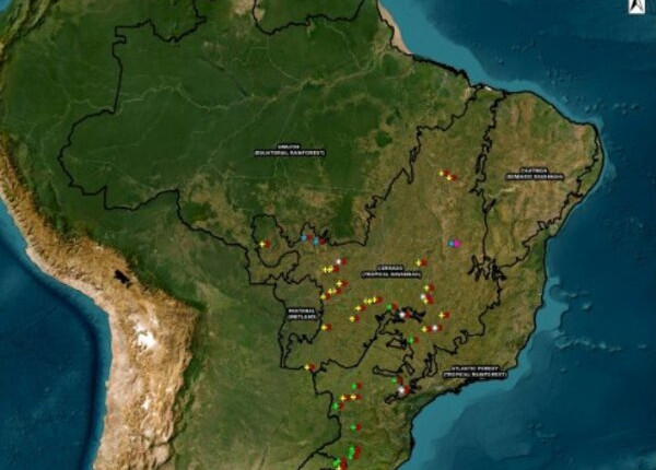 Modelos que estimam a densidade do solo reduzem custo para monitorar o estoque de carbono no solo em áreas de grãos