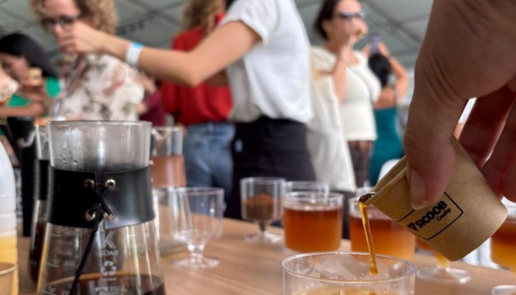 Robustas Amazônicos surpreendem os apreciadores de café