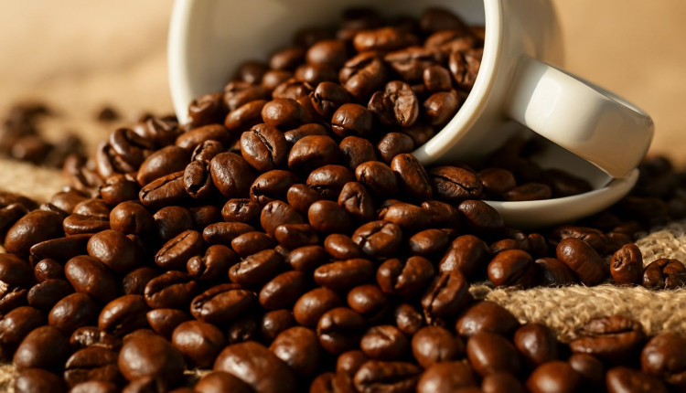 Nescafé transforma realidades e produtores são protagonistas do novo café brasileiro