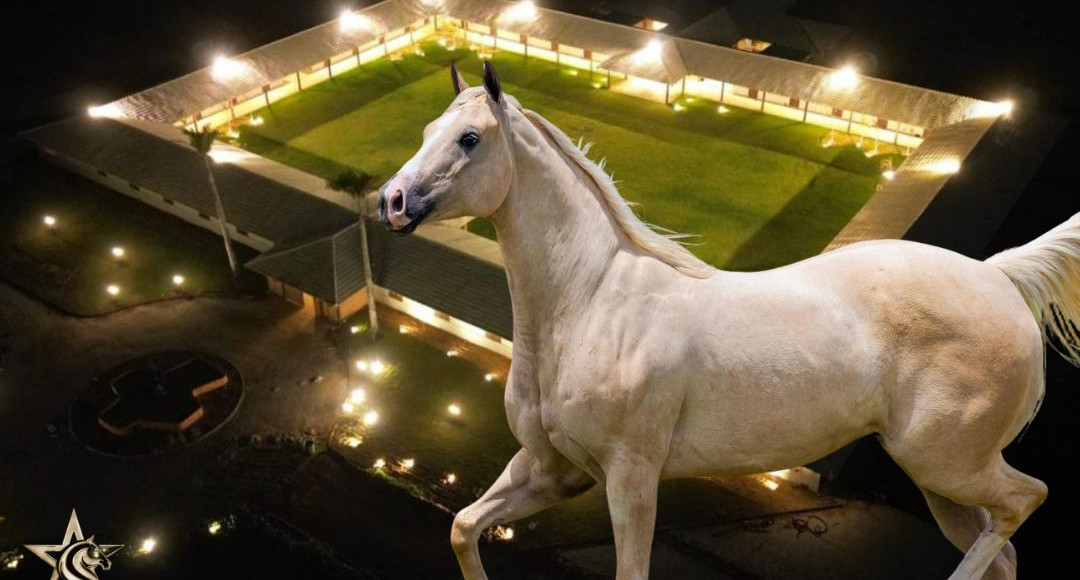 cafula agropecuaria capa (1)