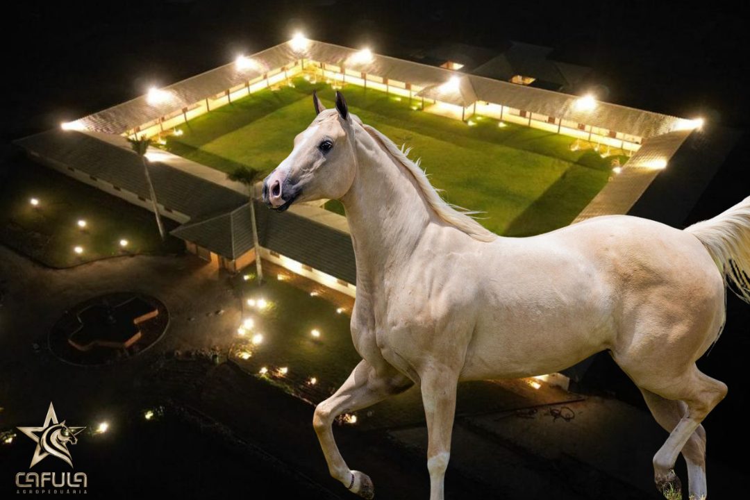 cafula agropecuaria capa (1)