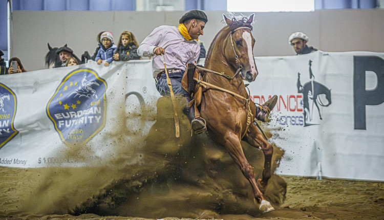 cavalo crioulo freio de europa