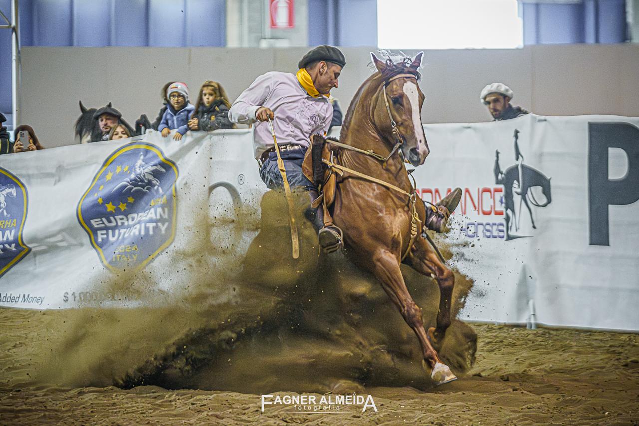 cavalo crioulo freio de europa