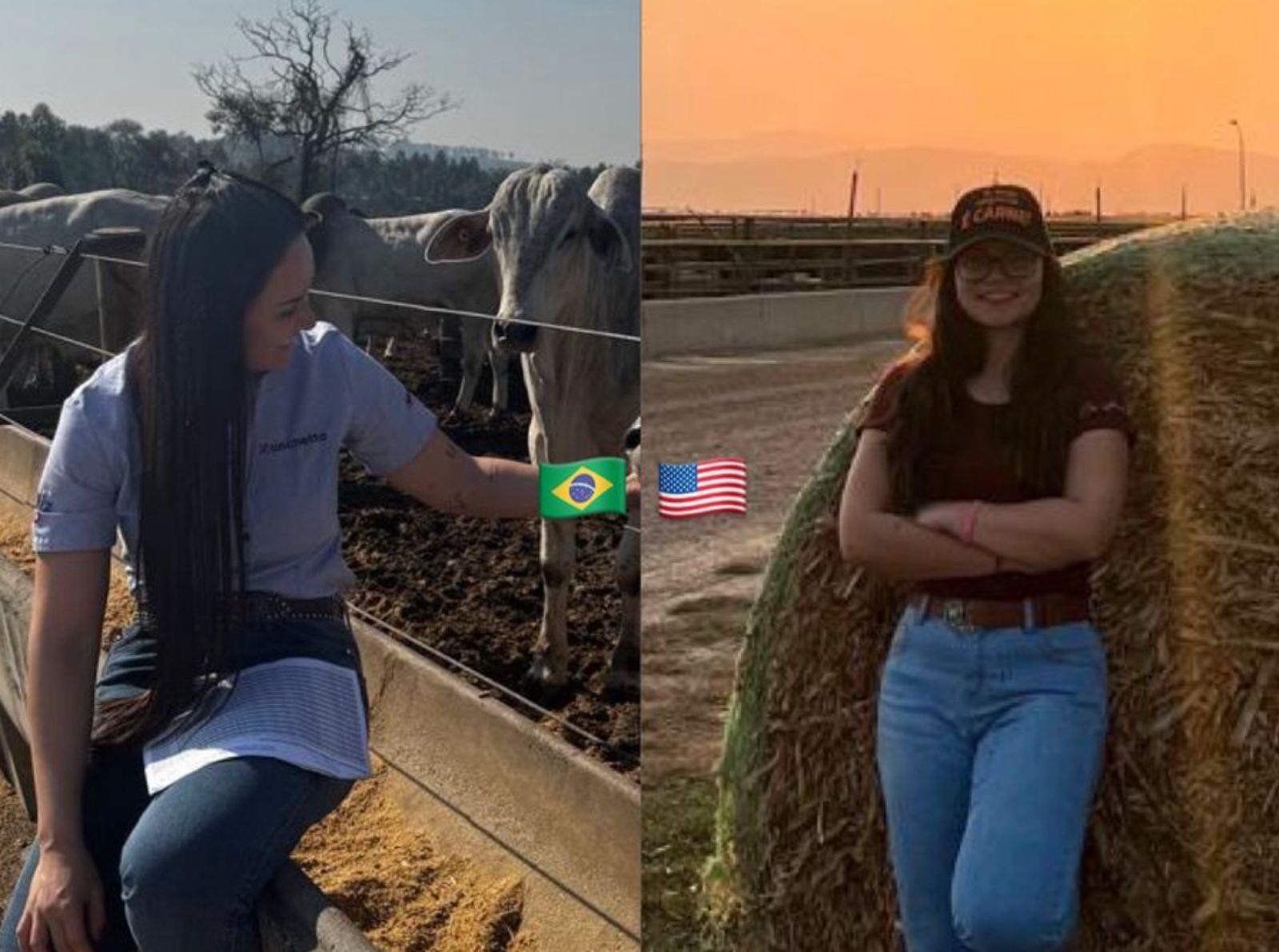 confinamento no brasil x eua