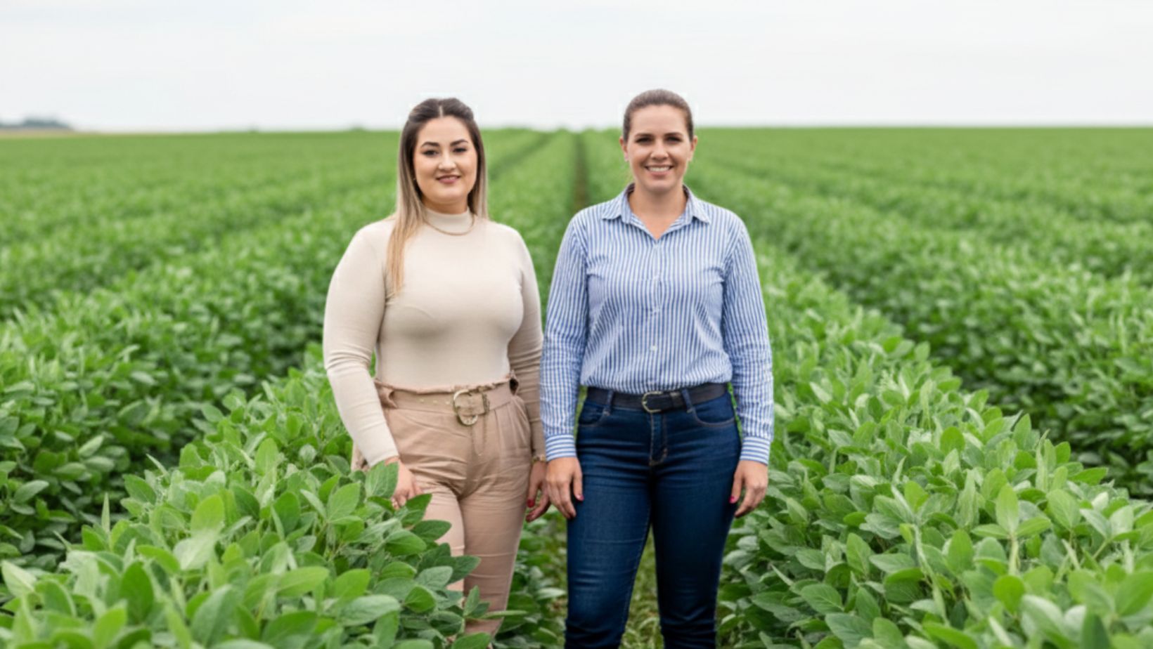 consulttagro - gabriela - credito rural