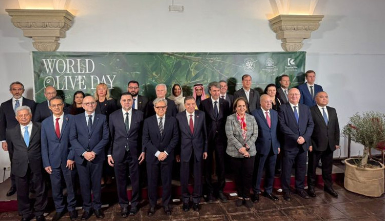 Brasil destaca avanços na qualidade do azeite durante celebração do World Olive Day